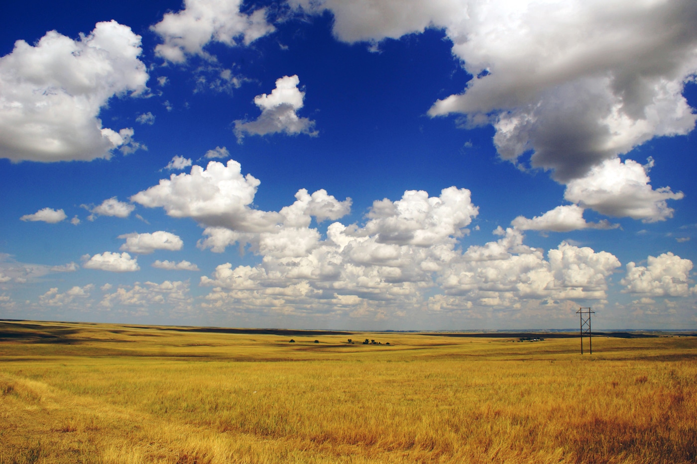 Open Indiana farm ground under a wide summer sky